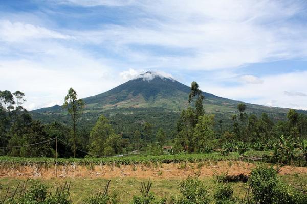 6 Fakta Menarik Gunung Cikuray di Garut, Nomor 3 Penghuni Aslinya Mengerikan Bisa Serang Pendaki