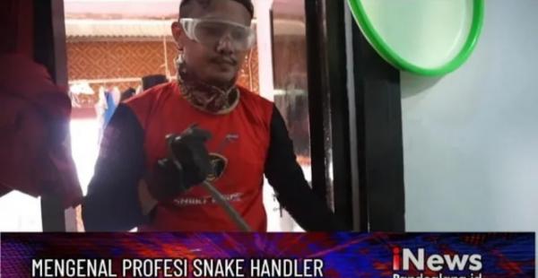 Mengenal Snake Handler, Bikin Masalah Warga Terbantu dengan Temuan Satwa Liar