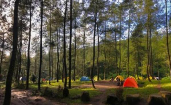 Rekomendasi Tempat Camping di Malang, Cocok untuk Liburan Bareng Teman