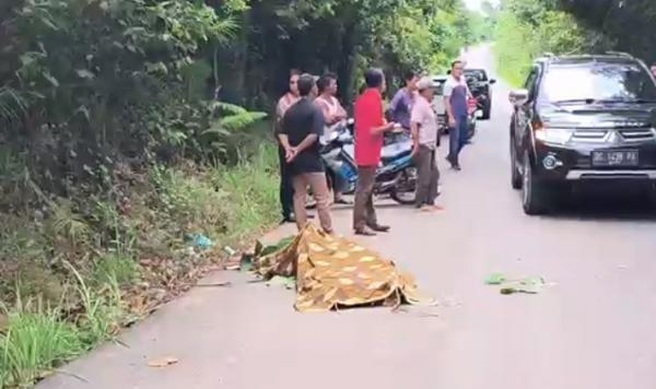 Korban Pembunuhan! Pria di Pali Ini Tewas Bersimbah Darah di Pinggir Jalan dengan Leher Nyaris Putus