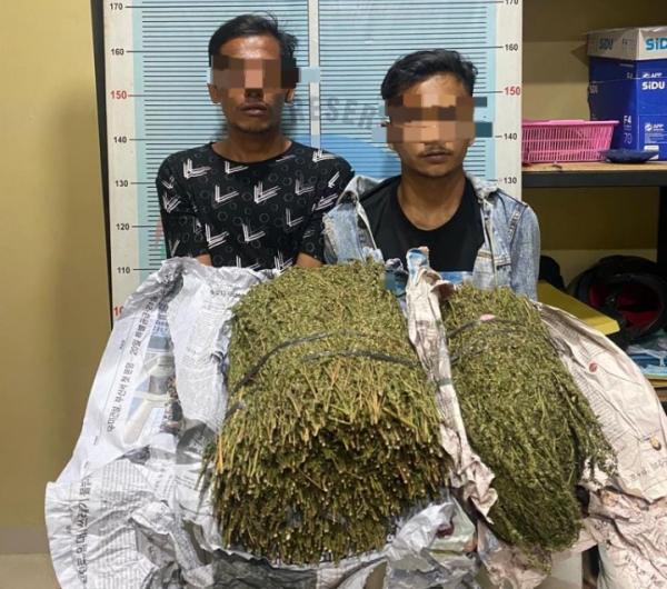Bawa Ganja Dalam Tas Ransel, 2 Warga Aceh Utara Dibekuk Polisi di Komplek Perkantoran Pidie Jaya