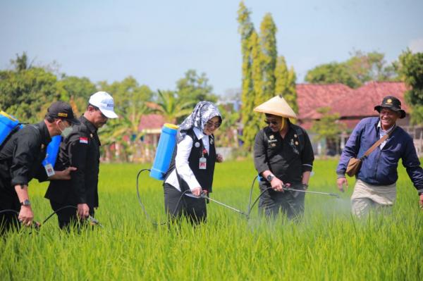 Mentan SYL Tinjau Penanganan Hama Wereng di Kabupaten Klaten