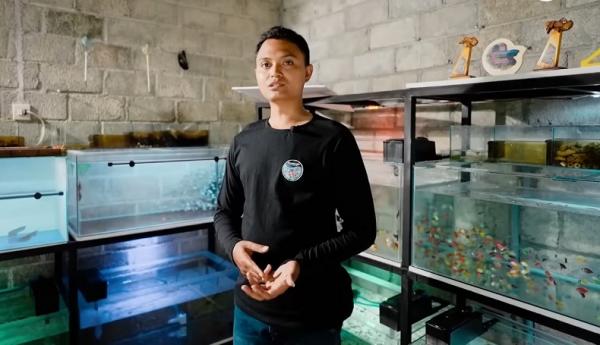 Kiat Sukses Pria Asal Kediri Raup Omzet Rp90 Juta per Bulan dari Budi Daya Ikan Hias