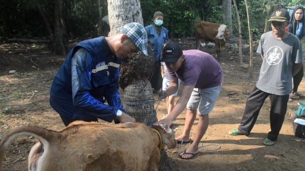 Mencegah Wabah Lato-lato ,Puskeswan Gadingrejo Monitoring Hewan Ternak Milik Warga
