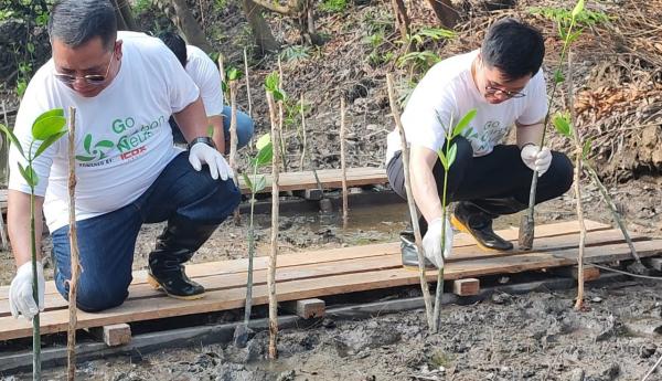 Rayakan HUT ke-14 Perusahaan, ICDX Group Tanam 14.000 Pohon Mangrove di Bangka Tengah