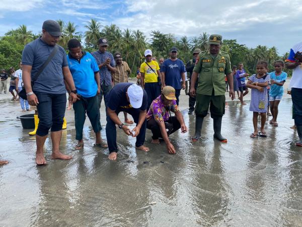 Warga Paparu di Yapen, Lepas 250 Ekor Tukik Hijau ke Laut