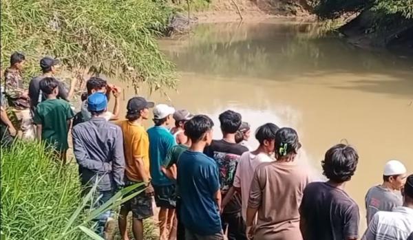 Geger! Warga Hilang Diterkam Buaya Saat Mencari Kerang di Sungai Leuwi Goong Pandeglang 