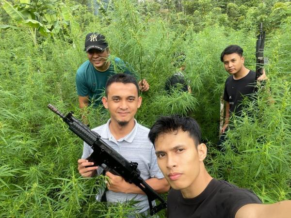 Polda Bengkulu Ungkap Ladang Ganja di Rejang Lebong Seluas 1,5 Hektar