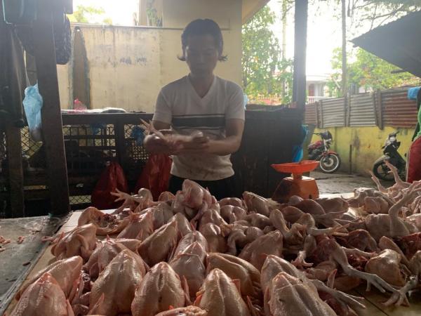 Harga Daging Ayam dan Cabai Turun, Inflasi Diperkirakan 0,2 Persen di Juli 2023