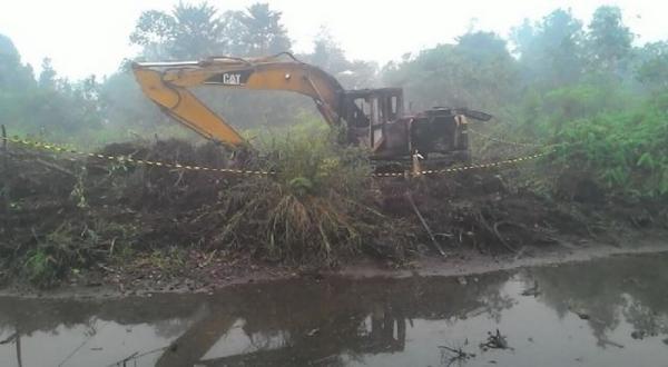 Rambah Hutan, DLHK Riau Amankan Tiga Alat Berat Beserta Operator