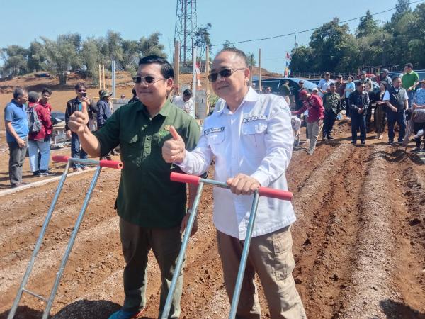 580 Hektare Komoditi Sorgum Sukabumi jadi Proyek Percontohan Pertanian Terintegrasi     