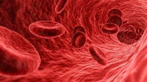 Berikut 5 Tips Menaikkan Kadar Oksigen dalam Darah