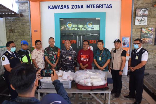 Satgaspam TNI AL Bandara Juanda Kembali Gagalkan Penyelundupan Baby Lobster Senilai Rp8 M