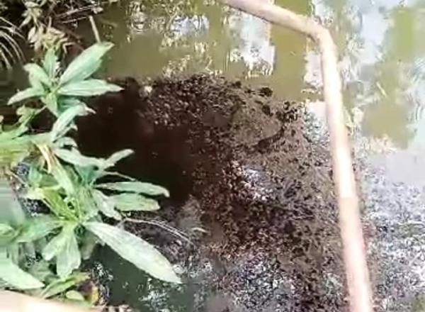 Sungai Sedupi Prabumulih Tergenang Limbah Minyak Mentah, Warga Tuntut Tanggung Jawab Pertamina