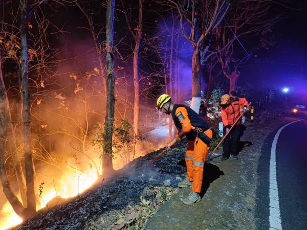 Kebakaran Hanguskan Hutan Jati Di Kawasan Arak - Arak
