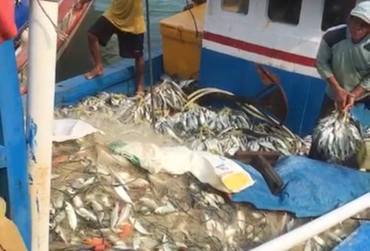 Alhamdulillah! Cuaca Bagus, Hasil Tangkapan Nelayan Binuangeun Meningkat