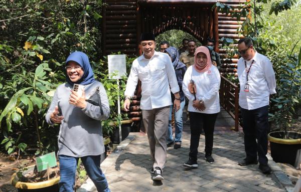 Bakal Diresmikan Presiden RI ke-5, Kebun Raya Mangrove Surabaya Masih Belum Sempurna, Ini Kondisinya