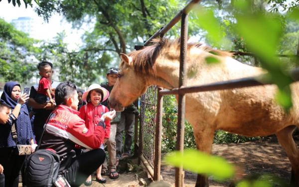 Polemik Kebun Binatang, Pemkot Klaim Tak Berkonflik dengan Yayasan Taman Margasatwa