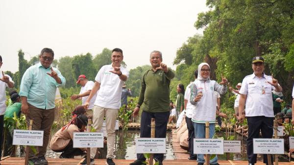 Percepat Perlindungan Ekosistem, Apical Tanam 3.000 Pohon Mangrove di Jakarta