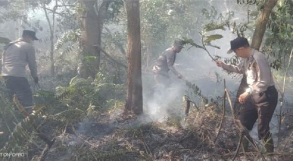 Karhutla di Singkawang Utara, Polisi Selidiki Dugaan Dibakar Orang
