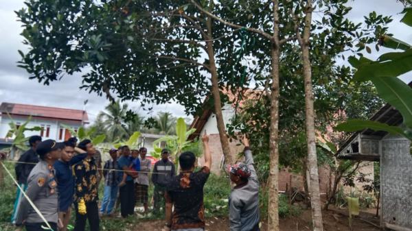 Usai Main Game Online, Pemuda di  Tasikmalaya Ditemukan Tewas Gantung Diri di Pohon Nangka