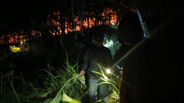 Tiga Hektare Lahan Milik Warga di Pangandaran Kebakaran, Api Diduga dari Pembakaran Sampah