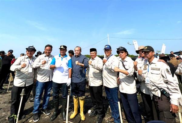 Alumni IPB Komda Jabar Tanam Mangrove di Pesisir Pantai Indramayu