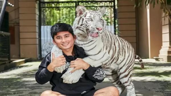 BBKSDA Jabar Evaluasi Izin Penangkaran Alshad Ahmad, Buntut Kematian Harimau Benggala Miliknya