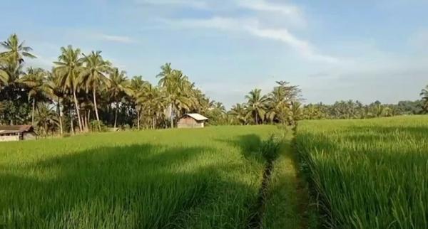 Mengintip Desa Misterius di Lombok, Dijuluki Kampung Hantu Jadi-Jadian