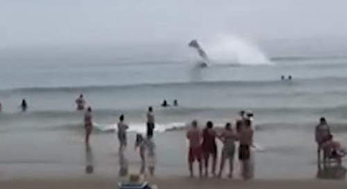 Turis Terkejut Menyaksikan Pesawat Mendadak Mendarat di Pantai AS