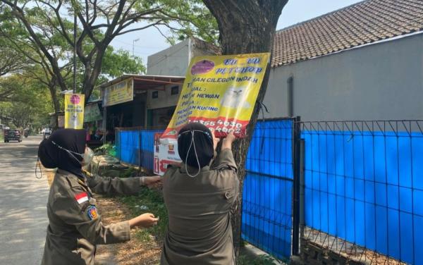 Langgar Aturan dan Ketertiban, Satpol PP Cilegon Tertibkan Baliho di Pohon dan Tiang Listrik