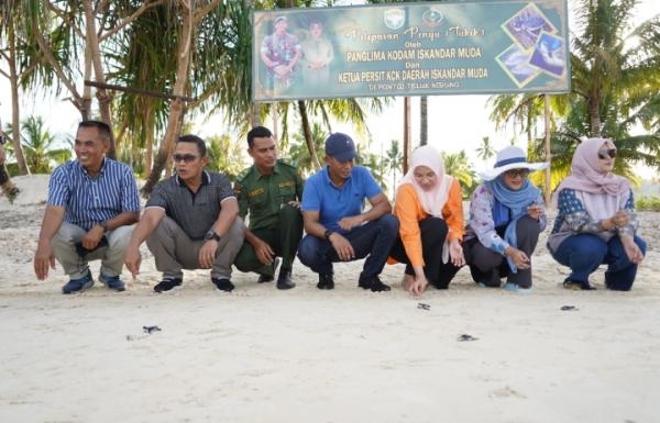 Pangdam IM Kunjungi Aceh Singkil, Lepas Tukik Jenis Penyu Hijau di Pulau Banyak