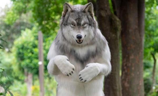 Terobsesi Jadi Serigala Pria Ini Rela Habiskan Ratusan Juta Rupiah, Begini Penampakannya