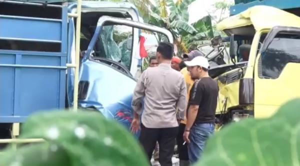 Kecelakaan Hari Ini, Truk Angkut Getah Karet Adu Banteng dengan Truk Angkut Sapi di Madina