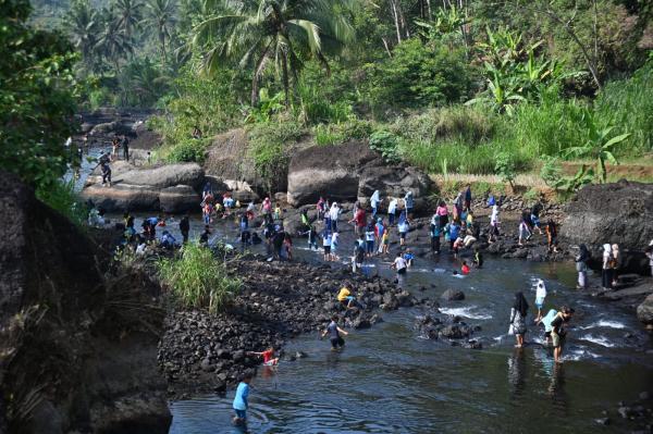 Serunya Festival Kalisat di Kebumen, Ribuan Orang Mencari Ikan