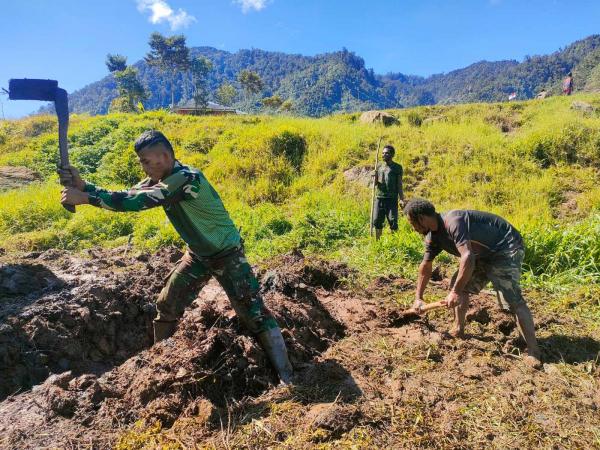 Satgas Yonif PR 433/JS Ajarkan Ilmu Pertanian Modern di Distrik Mbua, Papua