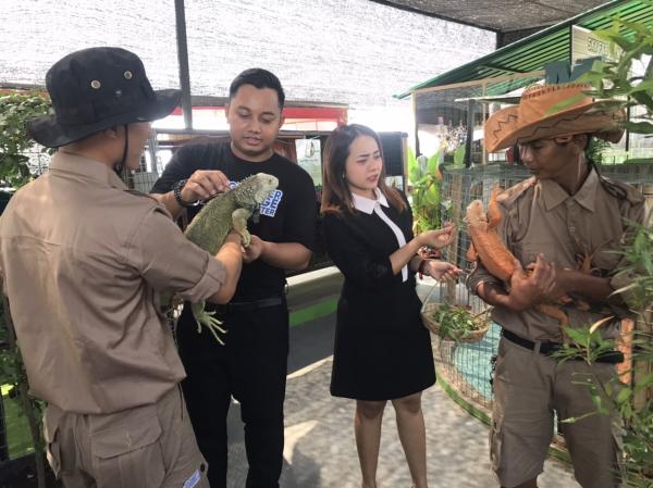 Hotel Dafam Fortuna Jember Buka Fasilitas Sky Pet Zoo untuk Para Tamu yang Menginap