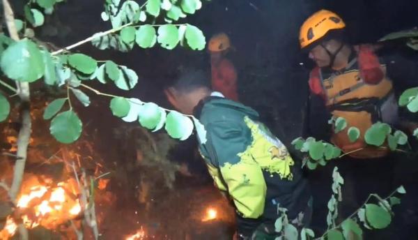 Hektaran Hutan Lindung di Ponorogo Terbakar, Petugas Kesulitan Padamkan Api