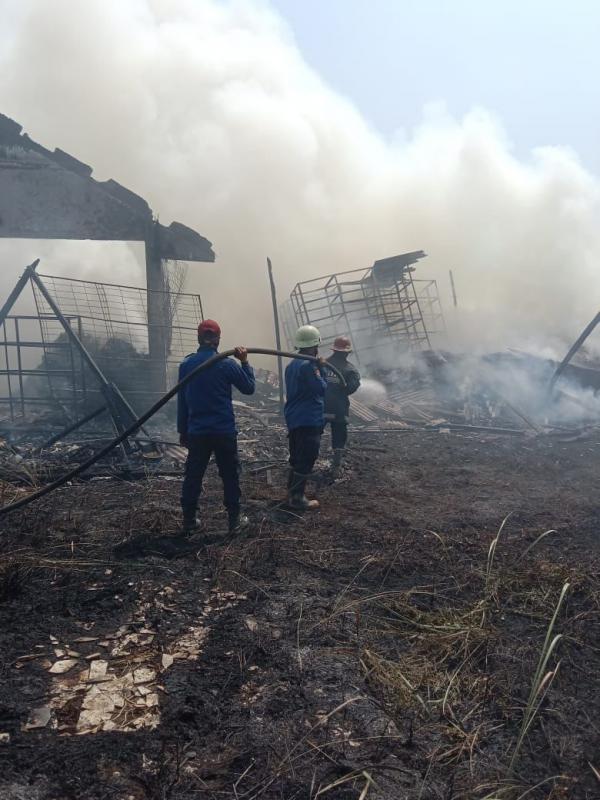BREAKING NEWS : Gudang PT Kido Jaya 2 Terbakar, Kerugian Ditaksir Ratusan Juta!