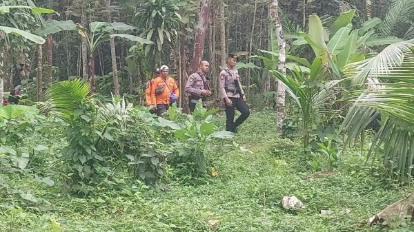 Warga Tasikmalaya Hilang di Hutan Rancabogo, Tim Gabungan Lakukan Pencarian