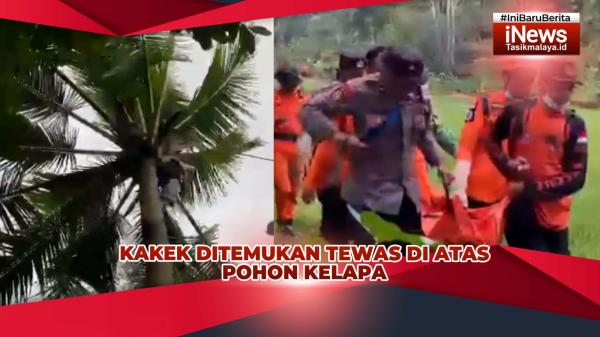 VIDEO: Hilang 3 Hari di Hutan, Kakek 63 Tahun di Tasikmalaya Ditemukan Tewas di Atas Pohon Kelapa