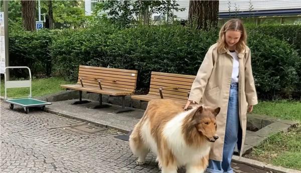 Toco, Seorang Pria Jepang Ubah Diri Jadi Anjing, Jalan-jalan Layaknya Binatang Sungguhan