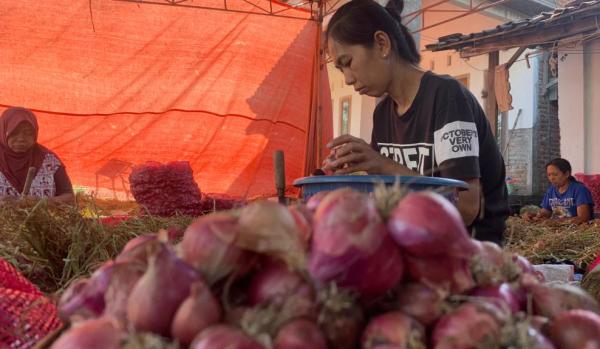 Harga Bawang Merah Anjlok, Petani di Ponorogo Kawatir Tak Balik Modal