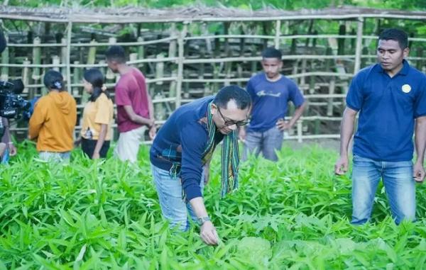 Ansy Lema Bantu Petani Milenial di Kabupaten TTU Bangun Pertanian Ramah Lingkungan