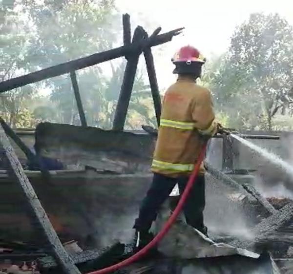 Gegara Api Bediang, Kandang dan Satu Ekor Sapi di Pulokulon Grobogan Ludes Terbakar