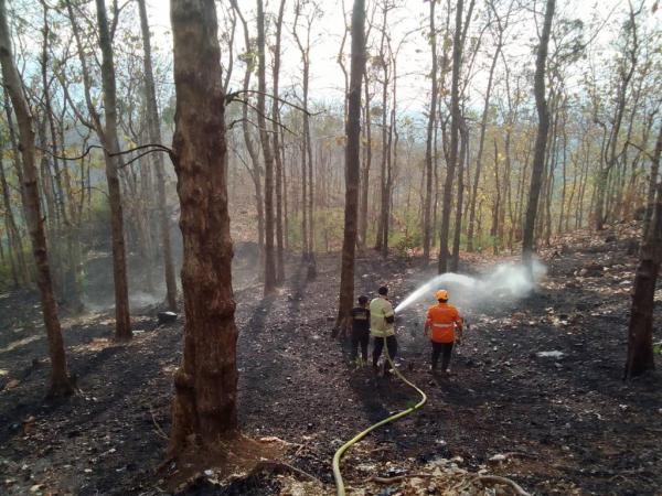 Kebakaran Hutan Kembali Terjadi di Kawasan Arak - Arak Bondowoso