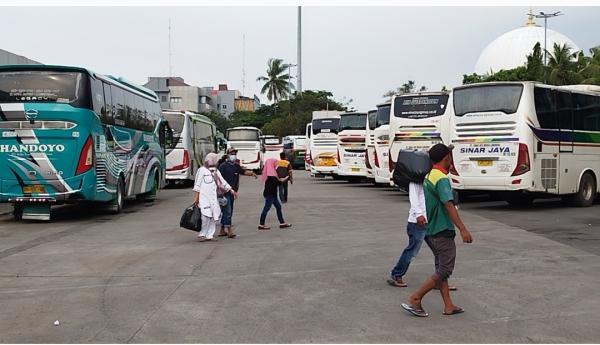 Hore! Pergi ke Bali Kini Bisa Lewat Terminal Bus Tanjung Priok