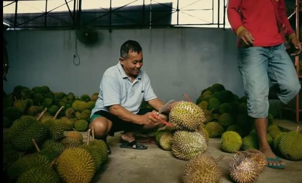 Kisah Sukses Mantan TKI Jadi Pengusaha Durian di Trenggalek