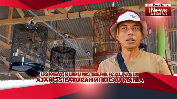 VIDEO: Lomba Burung Berkicau di Taraju Tasikmalaya Jadi Ajang Silaturahmi Para Kicau Mania