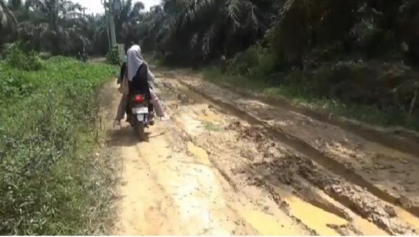 Jalan Rusak, Ratusan Warga SAD di Muaro Jambi Terancam Terisolasi